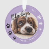 Première photo de nom de chien de Noël (devant)