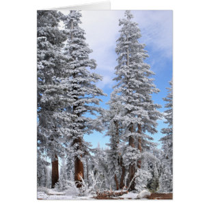 Premières chutes de neige