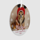 Premières photos de Noël Puppy (devant)