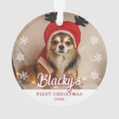 Premières photos de Noël Puppy (dos)