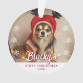 Premières photos de Noël Puppy (devant)