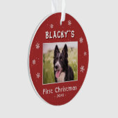 Premiers Noël Chiot Rouge Feux de neige Photo (devant)