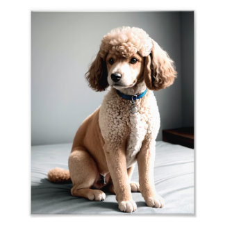 Premium Fine Art Dog Photography for Pet Lovers Foto Afdruk