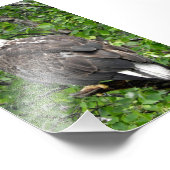 Premium-fotopapier - Uitbreiding foto's Foto Afdruk (Hoek)