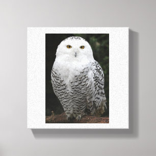 Premium - omgepakt canvas (glanzend) afdruk