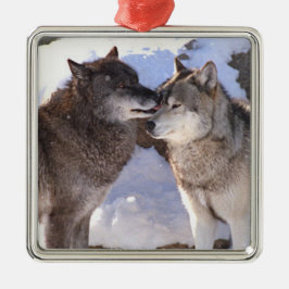 Premium Square Ornament "Alpha Kiss"