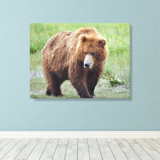 Premium Wrapped Canvas 24x18 met grizzly beer (Insitu (Houten vloer))