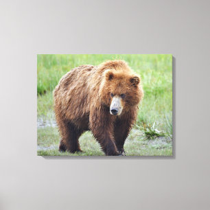 Premium Wrapped Canvas 24x18 met grizzly beer Afdruk