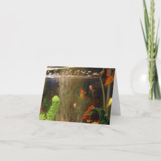 Prendre une carte photo