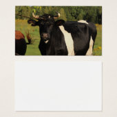 Prenez le taureau par les cornes (Devant & derrière)