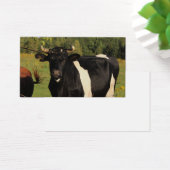 Prenez le taureau par les cornes (Bureau)