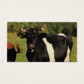 Prenez le taureau par les cornes (Devant)