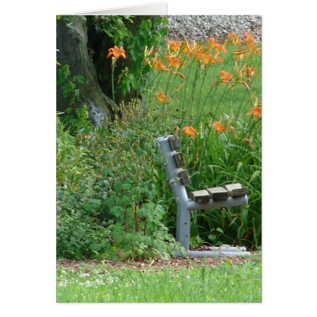 Prenez place (Devant)