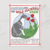 Prenons l'exemple de la carte postale Inspirationn (Devant)