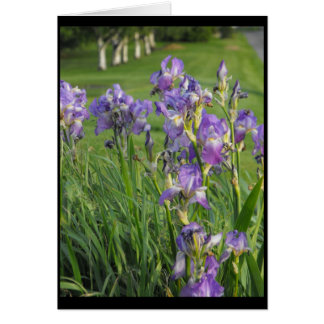 Préparez ainsi pour le ~ 21 de ressort