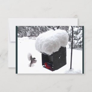 Préposé, Facteur, UPS, FedEx, Carte de pourboire