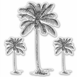 Preppy Black Coastal Palmetto Palmbomen Sticker