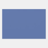 Preppy Coquette Bow Dusty Blue Line Drawn Wrapping Inpakpapier Vel (Voorkant 3)