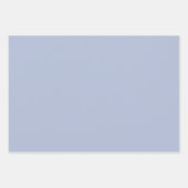 Preppy Coquette Bow Dusty Blue Line Drawn Wrapping Inpakpapier Vel (Voorkant 2)