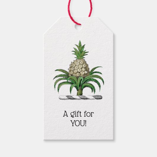 Preppy Heraldic Pineapple Coat of Arms Crest Cadeaulabel (Voorkant)