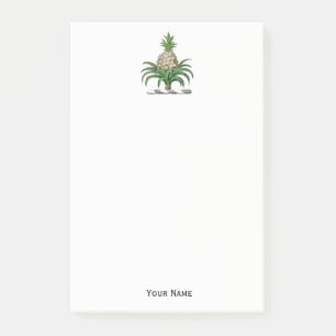 Preppy Heraldic Pineapple Coat of Arms Crest Post-it® Notes