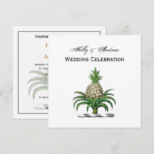 Preppy Heraldisch Ananas Wapen Crest Kaart