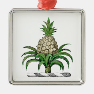 Preppy Heraldische Ananas Wapen Crest Metalen Ornament