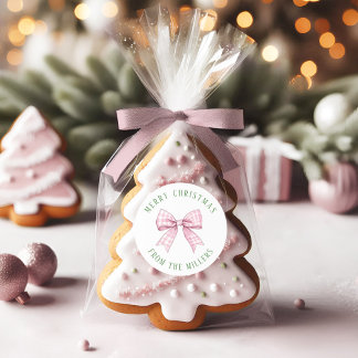 Preppy Pink Gingham Bow Classic Ronde Sticker