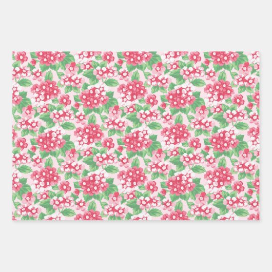 Preppy Roze en Groen Verpakkingsdocument (Reeks va Inpakpapier Vel (Voorkant 3)