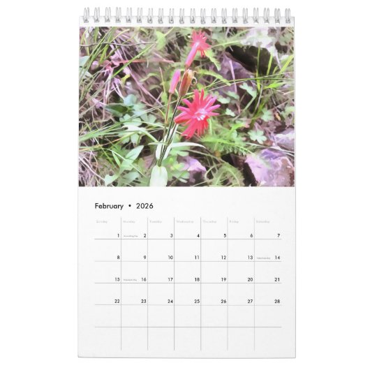 Prés en fleurs Calendrier 1 an (Feb 2026)