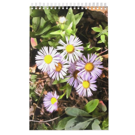 Prés en fleurs Calendrier 1 an (Protection)