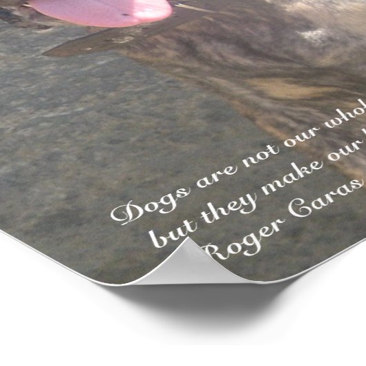 Presa Canario Pup Impression (Coin)