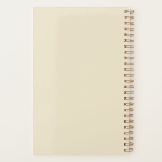 Présentations enrobées à Noël (Dos)