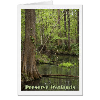 PreservWetlands