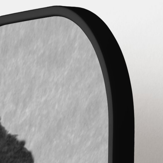 President Abe Lincoln Pickleball Paddle (Links Detail)