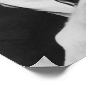 President Franklin Roosevelt Poster (Hoek)