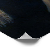 President George Washington Posters (Hoek)