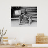 President Harding's Airedale Terrier, 1922 Poster (Keuken)