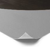 President Theodore Roosevelt Poster (Hoek)