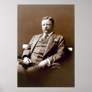 President Theodore Teddy Roosevelt Poster