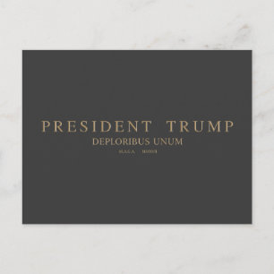 President Trump. Deploribus Unum. Briefkaart
