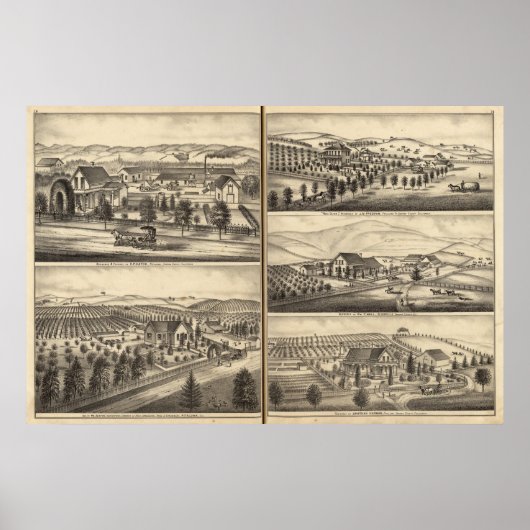 President van CP Hatch, Wm Sexton, JM Freeman Poster (Voorkant)