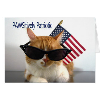 Presidenten Dag - PAWSitive Patriotic Cat