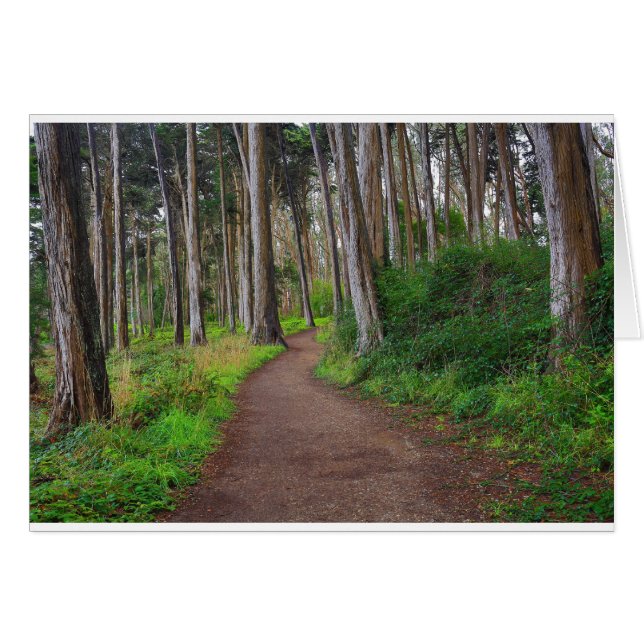 Presidio, SF (Devant horizontal)