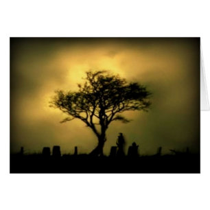 Presque coucher du soleil