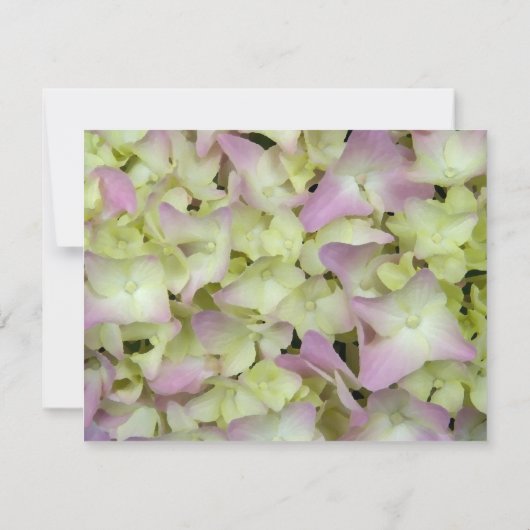 Presque rose Hydrangea New Address Faire-part (Dos)