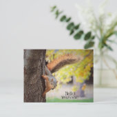 Presse dans pour dire Bonjour carte postale (Debout devant)