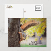 Presse dans pour dire Bonjour carte postale (Devant / Derrière)