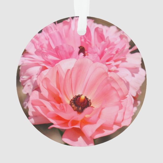 Presse en rose (dos)