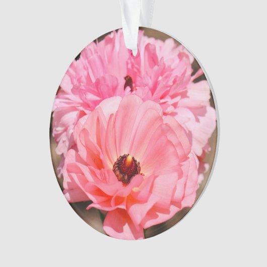 Presse en rose (devant)